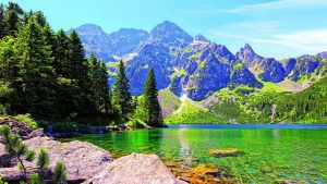 Tatra