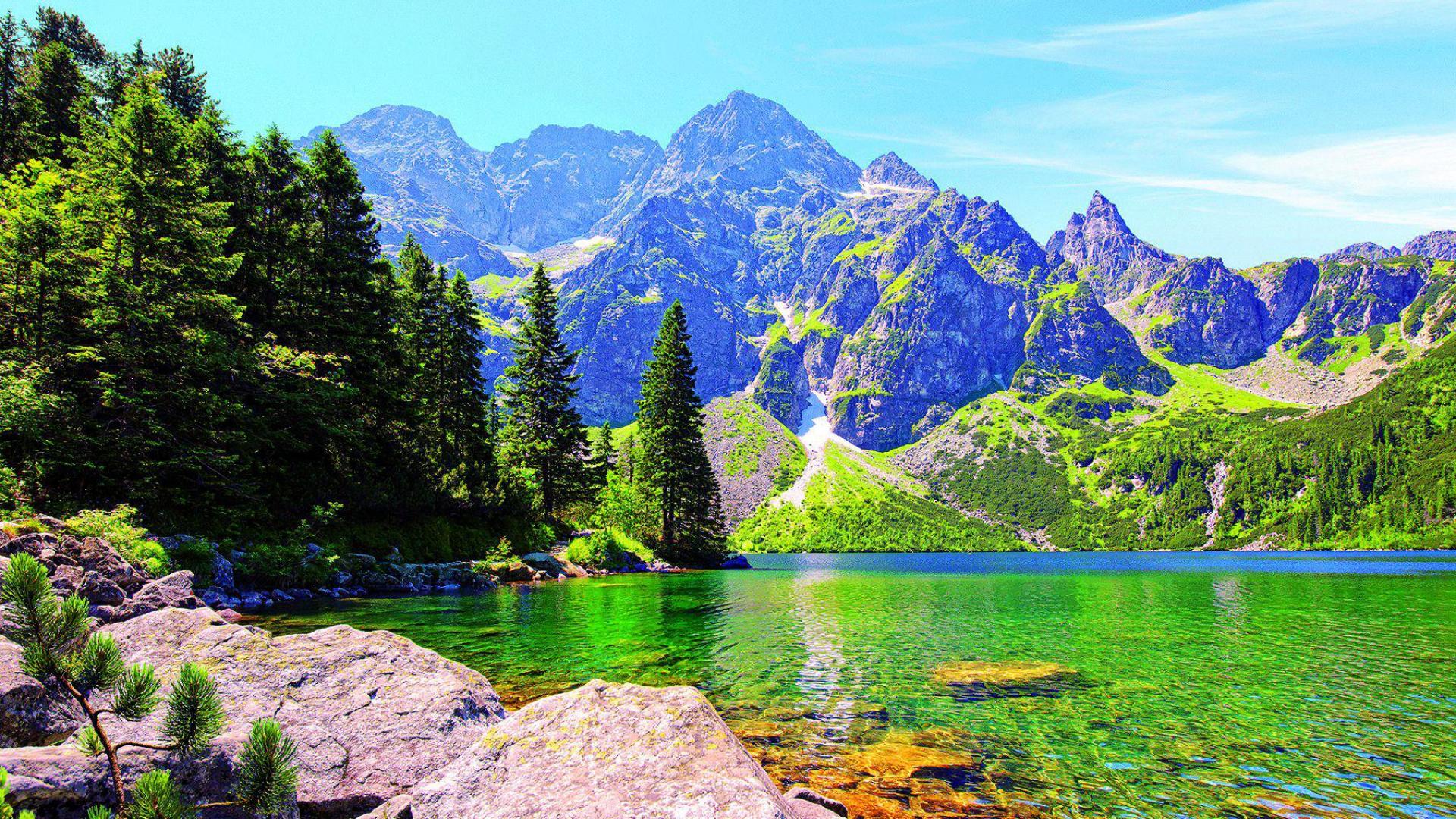Tatra