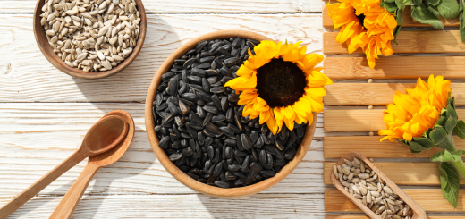 sunflower microgreens