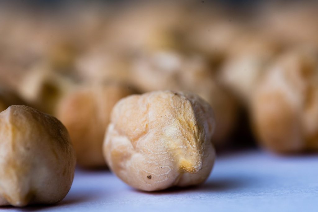 chickpea microgreens