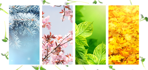 how to use microgreens according to the season