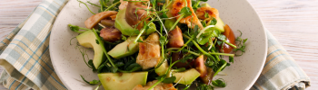 salad with microgreens