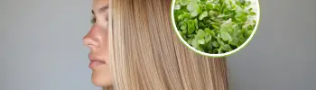 microgreens hair ally