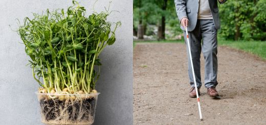 microgreens experience for blind people