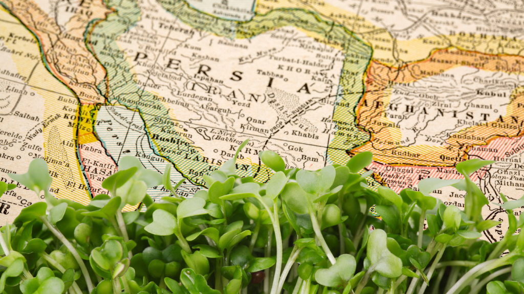 The History of microgreens