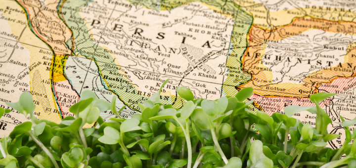 The History of microgreens
