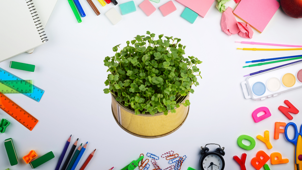 microgreens for kids