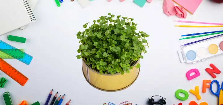 microgreens for kids