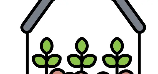 microgreens the future of urban agriculture and superfoods