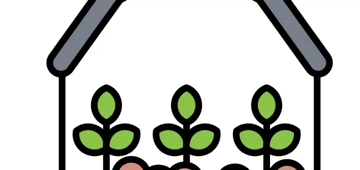 microgreens the future of urban agriculture and superfoods