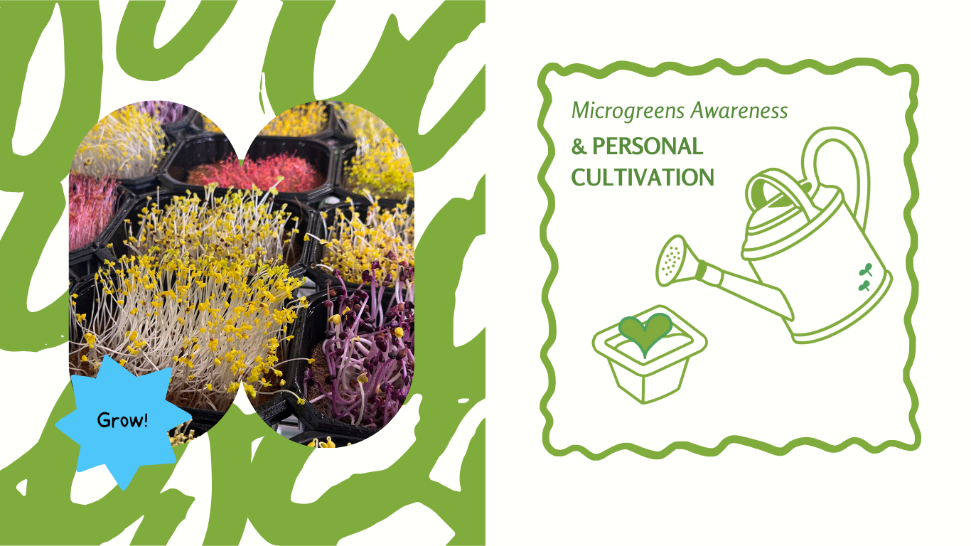 cultivation of microgreens