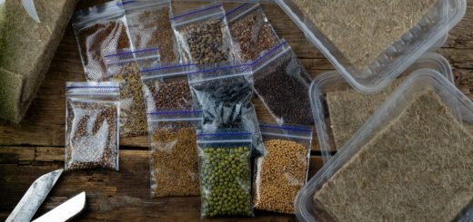 extending shelf life of microgreens