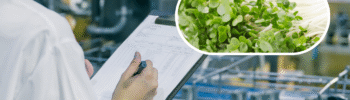 International Sanitary Guidelines