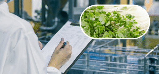 International Sanitary Guidelines