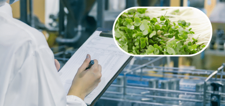 International Sanitary Guidelines