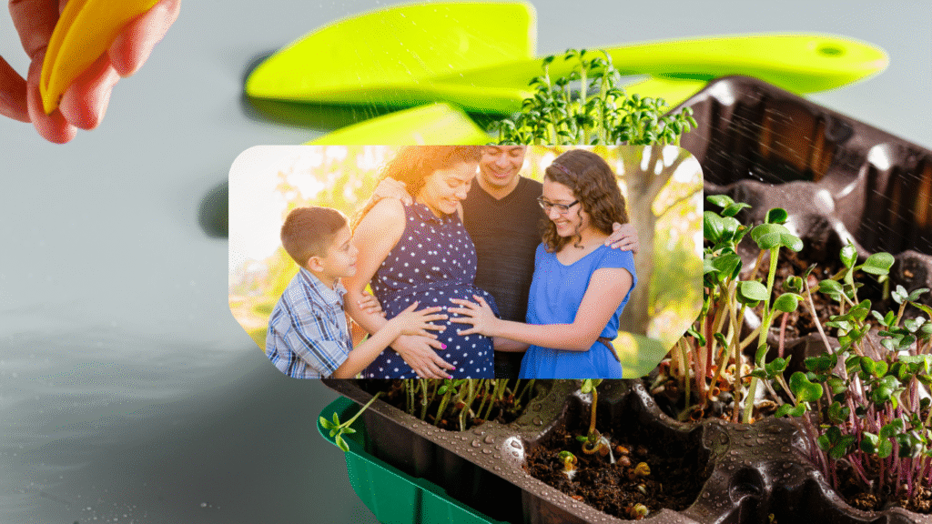 microgreens for pregnant