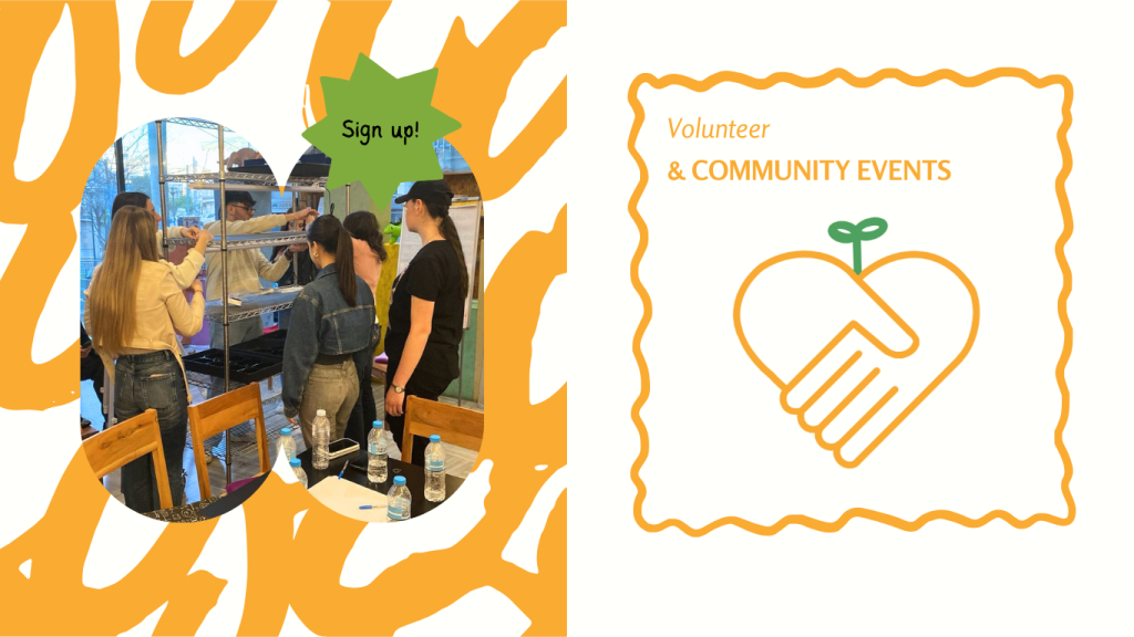 volunteer
