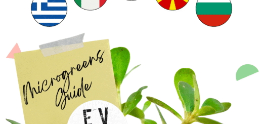 growing a healthy future with microgreens