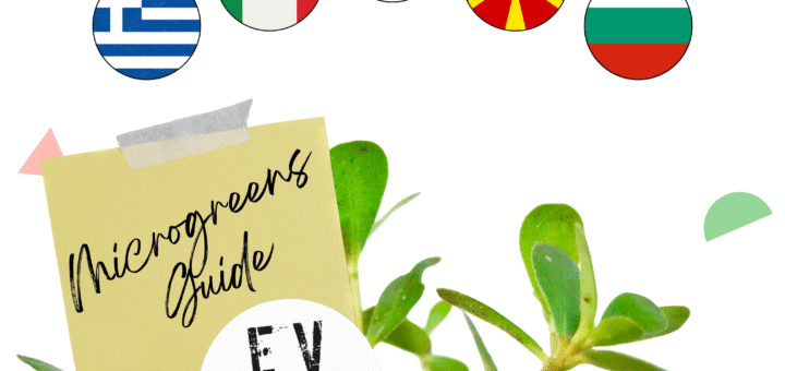 growing a healthy future with microgreens