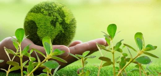 sustainability and microgreens