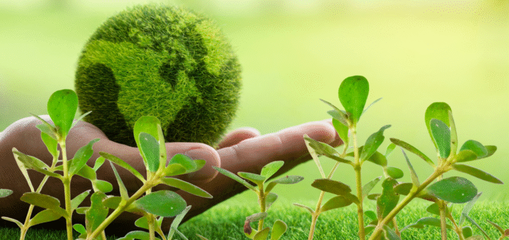 sustainability and microgreens