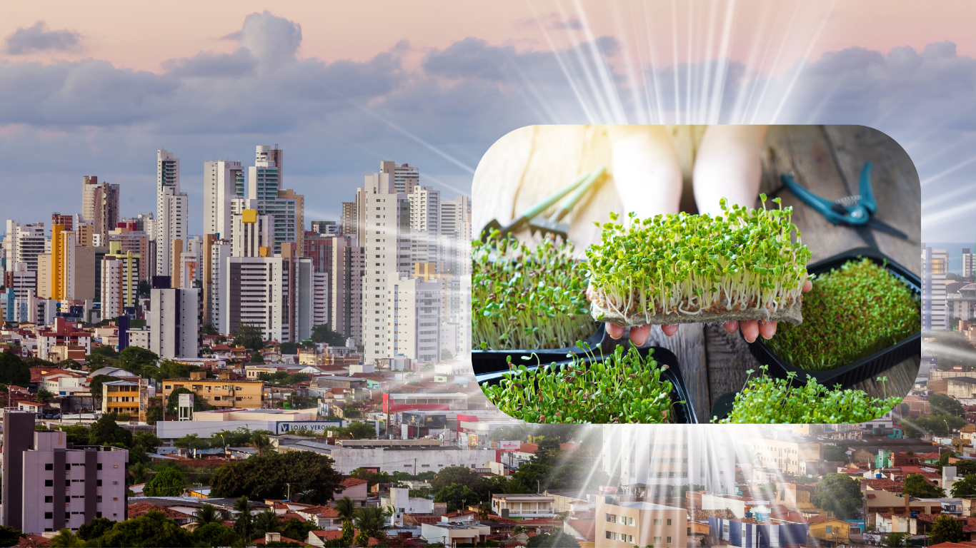 urban agriculture