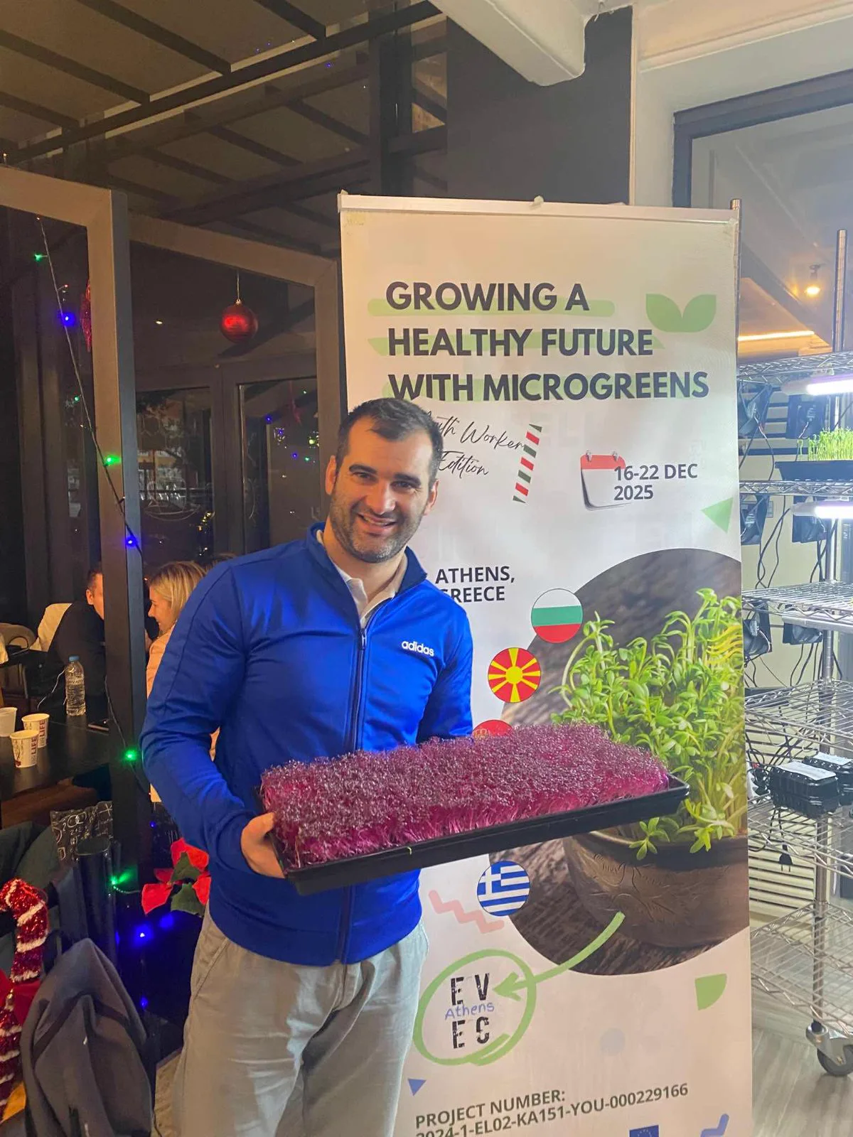 Volunteer amaranth tray — EVEC Athens