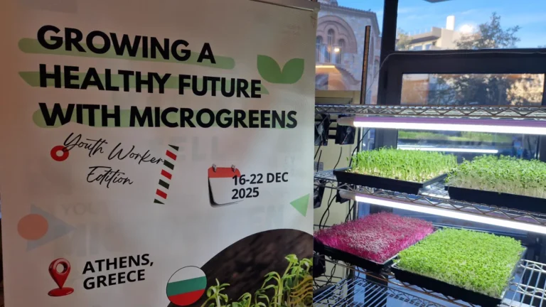 Trays of green and pink microgreens on a metal grow rack under LED lights, beside the banner of the EVEC training course Growing a Healthy Future with Microgreens, Athens, December 2025