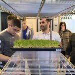 Participants gather around a microgreens growing rack as a tray of microgreens is placed on the shelf, during an EVEC training course in Athens