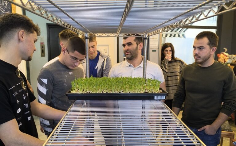 Participants gather around a microgreens growing rack as a tray of microgreens is placed on the shelf, during an EVEC training course in Athens